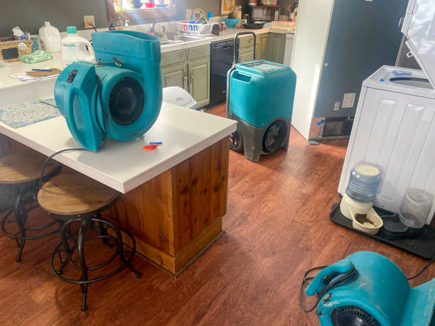 Best Mold removal after water damage  in Garden City, MI