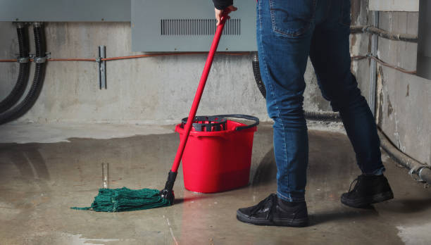 Best Mold removal after water damage  in Garden City, MI