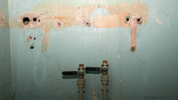 Best Water damage restoration near me  in Garden City, MI