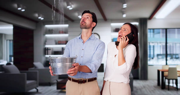 Best Residential water damage restoration  in Garden City, MI